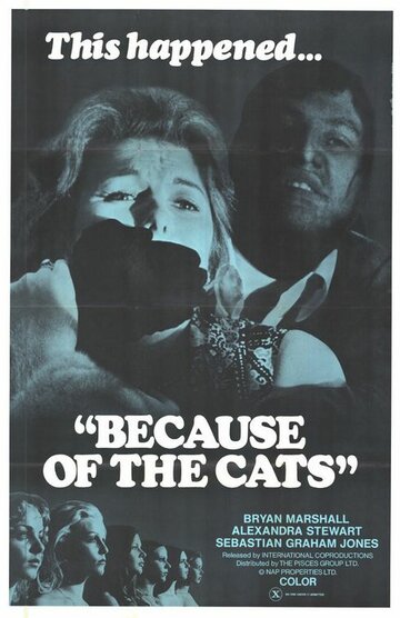 Постер Смотреть фильм Из-за кошек 1973 онлайн бесплатно в хорошем качестве