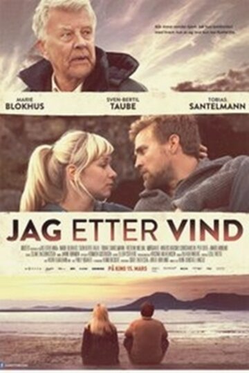 Постер Смотреть фильм Погоня за ветром 2013 онлайн бесплатно в хорошем качестве