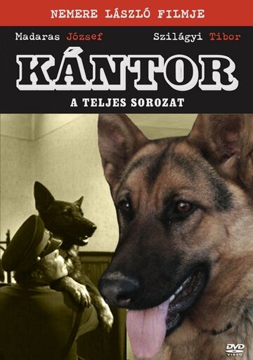 Смотреть Кантор - собака-детектив онлайн в HD качестве 720p