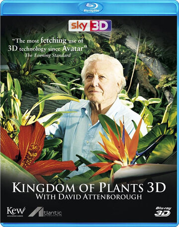 Смотреть В королевстве растений онлайн в HD качестве 720p
