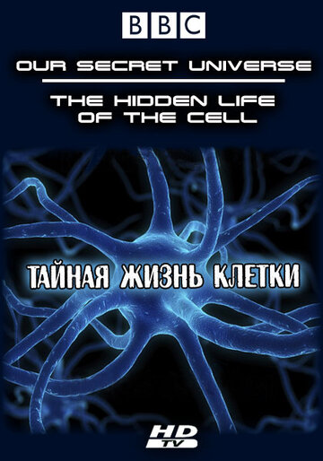 Постер Смотреть фильм BBC. Внутренняя вселенная: Тайная жизнь клетки 2012 онлайн бесплатно в хорошем качестве