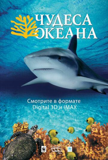 Постер Трейлер фильма Чудеса океана 3D 2003 онлайн бесплатно в хорошем качестве - HDrezka