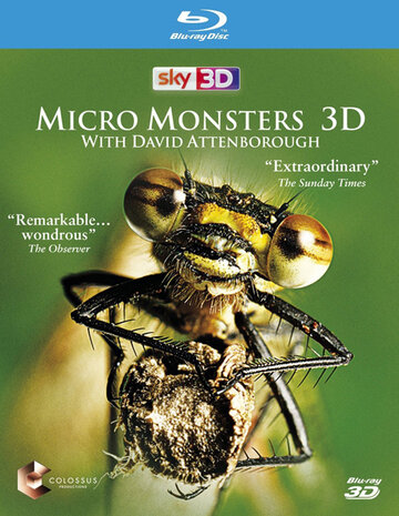Смотреть Микромонстры 3D с Дэвидом Аттенборо онлайн в HD качестве 720p