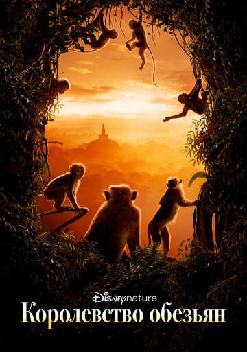 Смотреть Королевство обезьян онлайн в HD качестве 720p