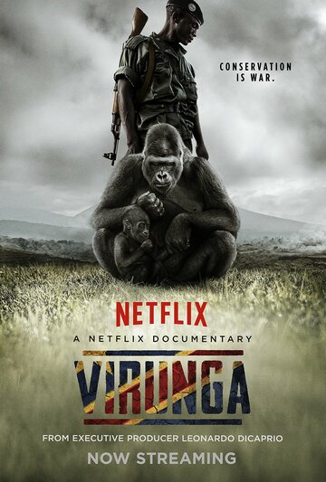 Постер Смотреть фильм Вирунга 2014 онлайн бесплатно в хорошем качестве