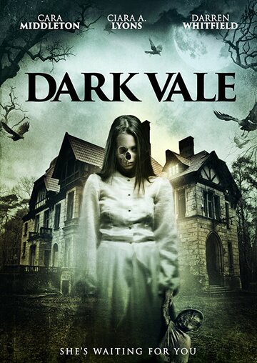 Постер Смотреть фильм Dark Vale 2018 онлайн бесплатно в хорошем качестве