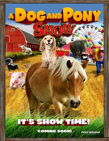 Смотреть Шоу собаки и пони онлайн в HD качестве 720p