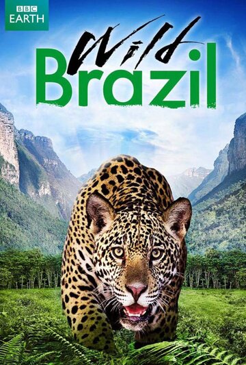 Постер Смотреть сериал Дикая Бразилия 2014 онлайн бесплатно в хорошем качестве