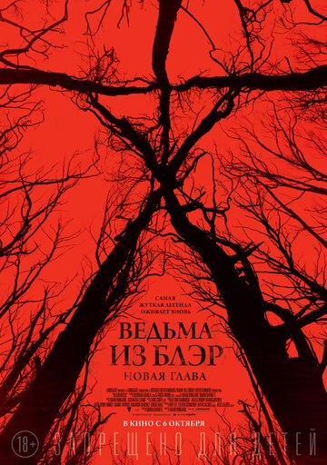 Постер Смотреть фильм Ведьма из Блэр: Новая глава 2016 онлайн бесплатно в хорошем качестве