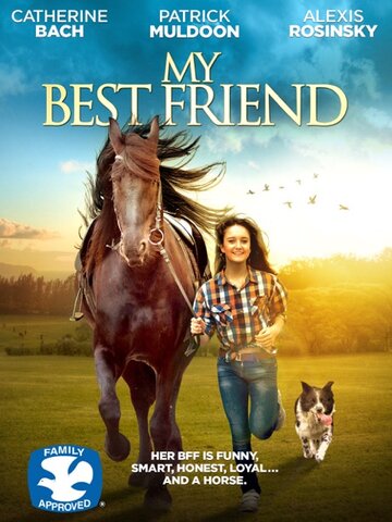 Постер Смотреть фильм Мой лучший друг 2016 онлайн бесплатно в хорошем качестве