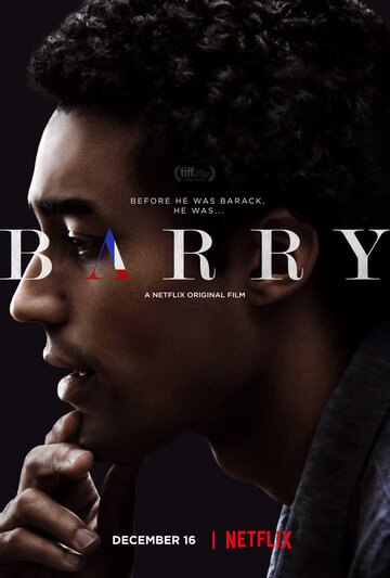 Постер Смотреть фильм Барри 2016 онлайн бесплатно в хорошем качестве
