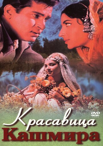 Постер Смотреть фильм Красавица Кашмира 1964 онлайн бесплатно в хорошем качестве