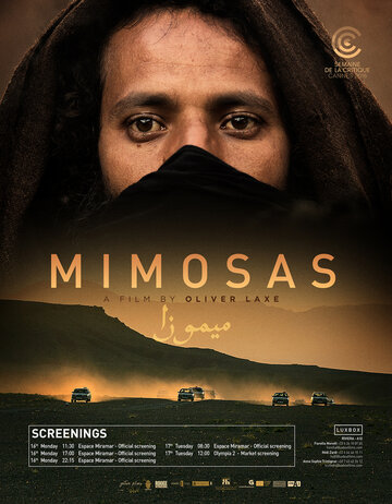 Постер Смотреть фильм Мимозы 2016 онлайн бесплатно в хорошем качестве