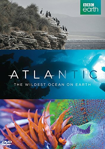 Смотреть Атлантика: Самый необузданный океан на Земле онлайн в HD качестве 720p