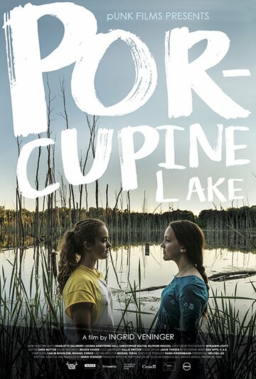 Постер Смотреть фильм Озеро Поркьюпайн 2017 онлайн бесплатно в хорошем качестве