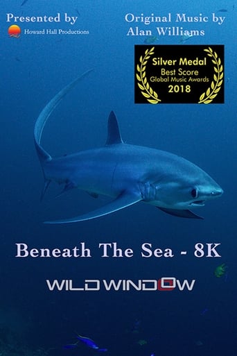 Смотреть Wild Window: Beneath the Sea онлайн в HD качестве 720p