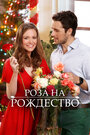 Смотреть Роза на Рождество онлайн в HD качестве 