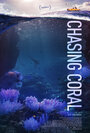 Смотреть В поисках кораллов онлайн в HD качестве 