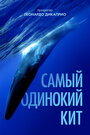 Смотреть Самый одинокий кит на планете: в поисках Пятидесятидвухгерцового кита онлайн в HD качестве 