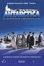 Смотреть Антарктика: Путешествие в неизвестную природу онлайн в HD качестве 