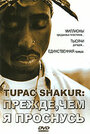 Смотреть Tupac Shakur: Прежде, чем я проснусь онлайн в HD качестве 