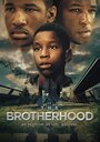 Смотреть The Brotherhood (ТВ) онлайн в HD качестве 