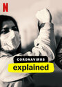 Смотреть Коронавирус, объяснение онлайн в HD качестве 