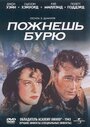 Смотреть Пожнешь бурю на HDrezka онлайн в HD качестве 720p