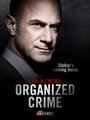 Смотреть Закон и порядок: Организованная преступность онлайн в HD качестве 
