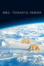 Смотреть BBC: Планета Земля онлайн в HD качестве 