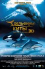 Смотреть Дельфины и киты 3D онлайн в HD качестве 