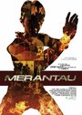 Смотреть Мерантау онлайн в HD качестве 