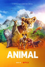 Смотреть Удивительные животные онлайн в HD качестве 