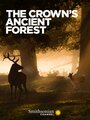 Смотреть Королевский лес онлайн в HD качестве 