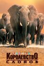 Смотреть Африка — королевство слонов онлайн в HD качестве 