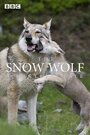 Смотреть Снежный волк. Зимняя сказка онлайн в HD качестве 