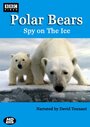 Смотреть Белый медведь: Шпион во льдах онлайн в HD качестве 