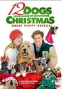 Смотреть 12 рождественских собак 2: Чудесное спасение онлайн в HD качестве 