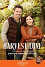 Смотреть Любовь во время урожая онлайн в HD качестве 