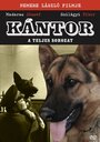 Смотреть Кантор - собака-детектив онлайн в HD качестве 