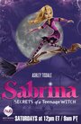 Смотреть Сабрина — маленькая ведьма онлайн в HD качестве 
