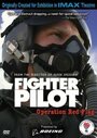 Смотреть Боевые пилоты: Операция «Красный флаг» онлайн в HD качестве 