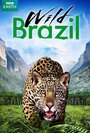 Смотреть Дикая Бразилия онлайн в HD качестве 