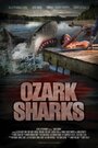 Смотреть Озаркские акулы онлайн в HD качестве 